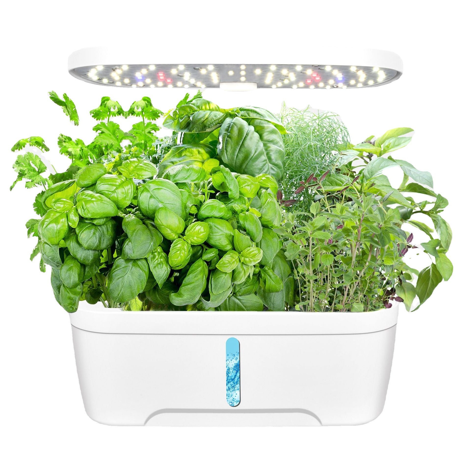 Herb garden with plants and LED light on a white background