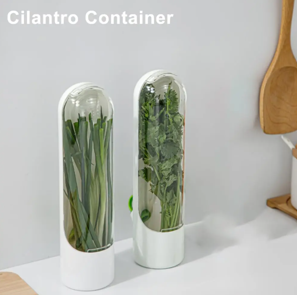 Herb Storage Container