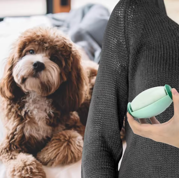 A person holding a green portable pet hair roller device next to a brown dog indoors.