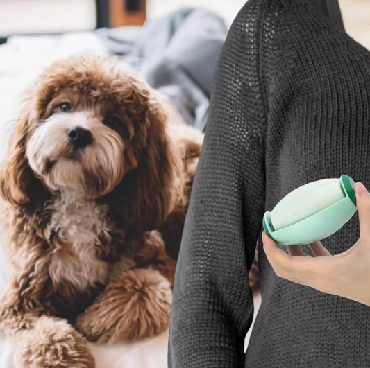 A person holding a green portable pet hair roller device next to a brown dog indoors.